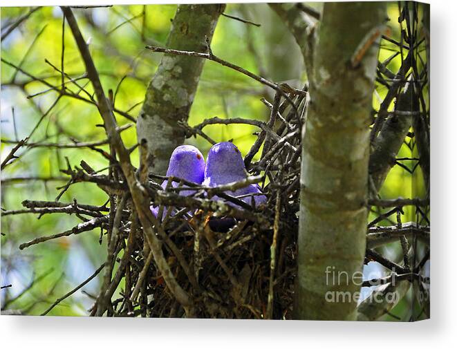 Peeps Canvas Print featuring the photograph Purple Peeps Pair by Al Powell Photography USA