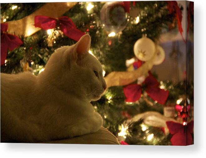 Christmas Canvas Print featuring the photograph Purrfect Holidays by Valerie Pond