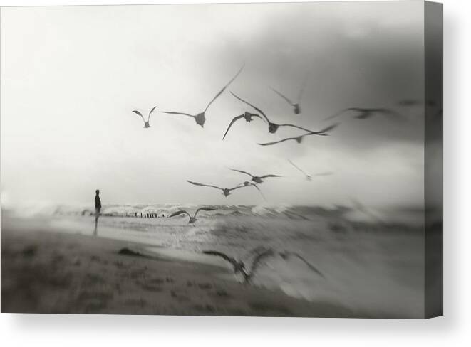 Beach Canvas Print featuring the photograph Quiet Dreams... by Anna Niemiec