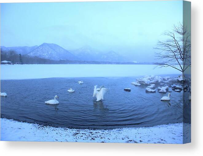 Hokkaido Canvas Print featuring the photograph Quiet Scene In Hokkaido by I Am Happy Taking Photographs.