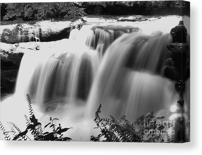 Waterfall Canvas Print featuring the photograph Raging Waters by Melissa Petrey