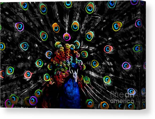 Colorful Peacock Canvas Print featuring the digital art Rainbow Peacock by Jayne Carney