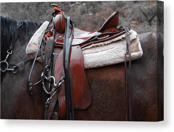 Horse Art Canvas Print featuring the photograph Rained Out by Jani Freimann