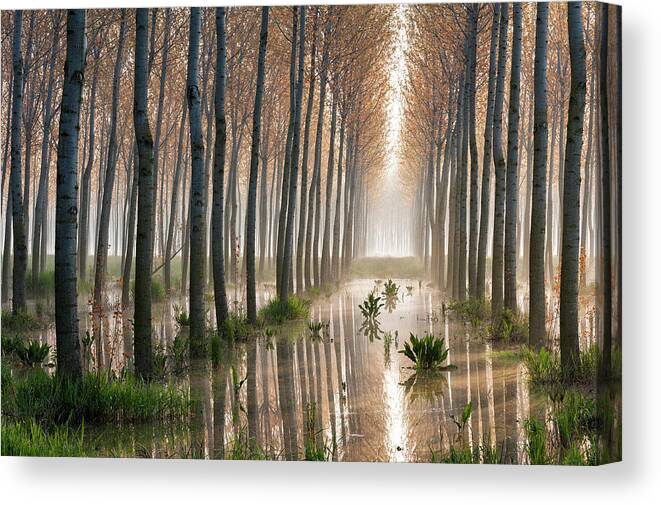 Landscape Canvas Print featuring the photograph Rains Of Spring by Raffaele Spettoli