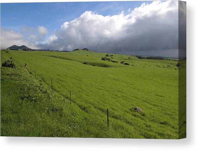 Grass Canvas Print featuring the photograph Ranch Land On No Kohala Mountain Road by John Elk