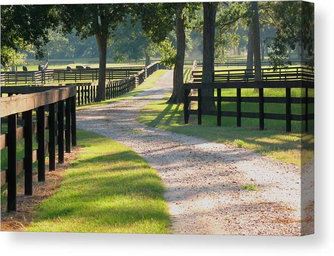 Texas Ranch Canvas Print featuring the photograph Ranch Road in Texas by Connie Fox