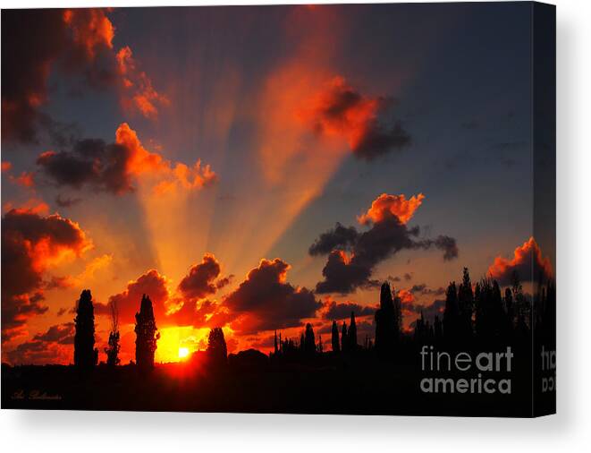 Sunset Canvas Print featuring the photograph Rays of Hope 02 by Arik Baltinester