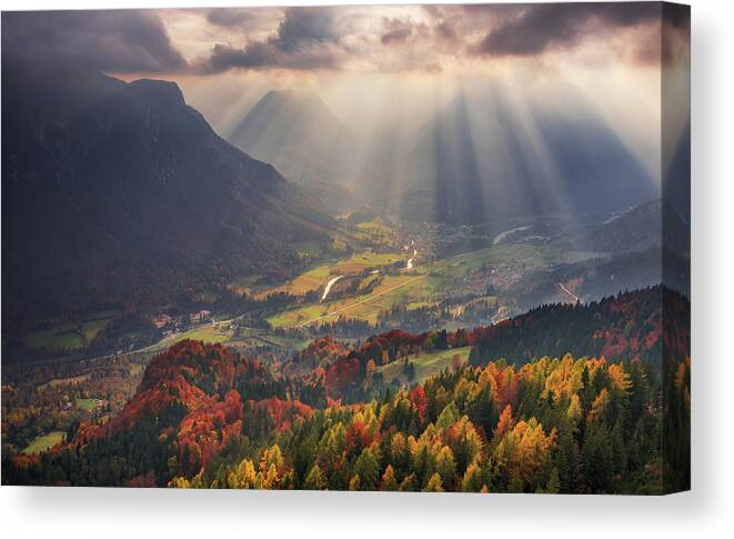 Light Canvas Print featuring the photograph Rays Of Light by Ales Krivec