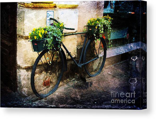 Bike Canvas Print featuring the photograph Re-Cycle by Randi Grace Nilsberg