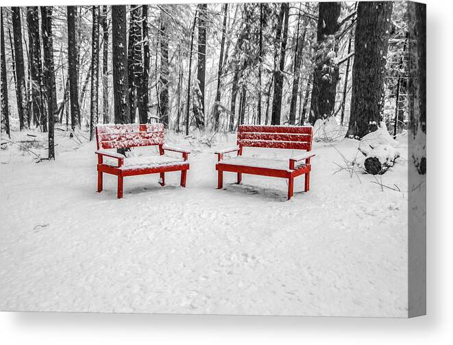 Trees Canvas Print featuring the photograph Red Benches by Cathy Kovarik