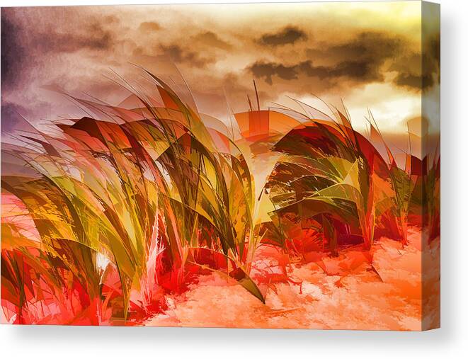 Beach Canvas Print featuring the photograph Red Grass by Mary Underwood