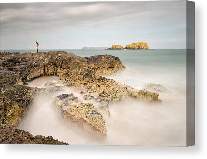 Sheep Island Canvas Print featuring the photograph Red Ring, Ballintoy by Nigel R Bell
