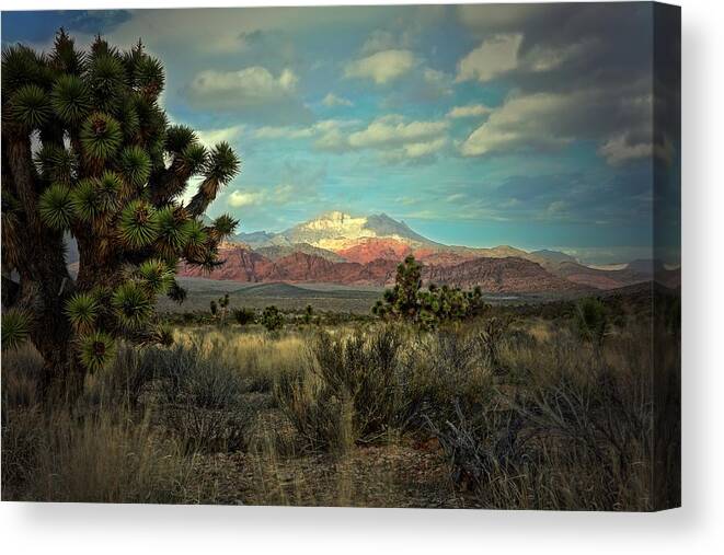Red Rock National Conservation Area Canvas Print featuring the photograph Red Rock East by Mark Ross