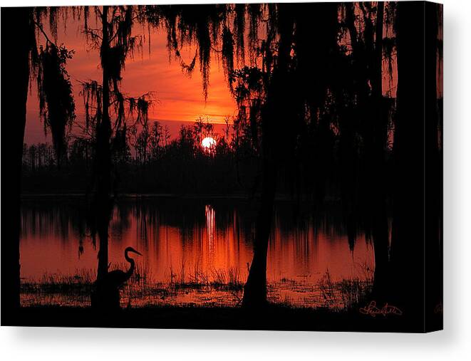 Florida Canvas Print featuring the photograph Red Swamp by Renee Sullivan