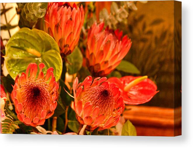 Floral Canvas Print featuring the photograph Red Tropical Flowers by Linda Phelps