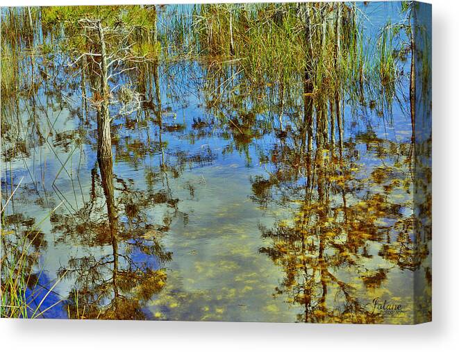 Reflect Canvas Print featuring the photograph Reflect by Jody Lane