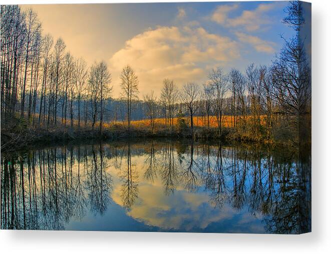 Reflection Canvas Print featuring the photograph Reflect by John Rivera