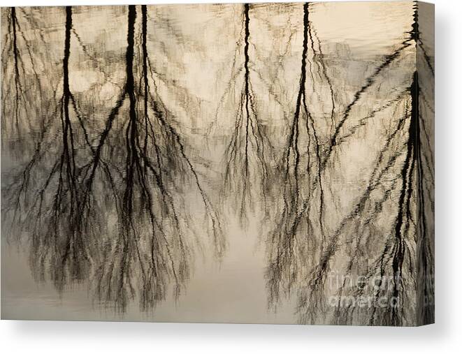Landscape Canvas Print featuring the photograph Reflections in black and grey by Adriana Zoon