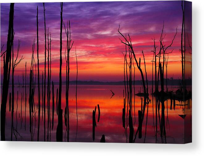 Landscape Canvas Print featuring the photograph Reservoir at Sunrise by Roger Becker