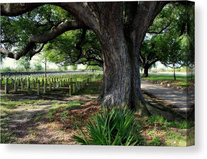 Resting In The Shade Canvas Print featuring the photograph Resting In The Shade by Beth Vincent