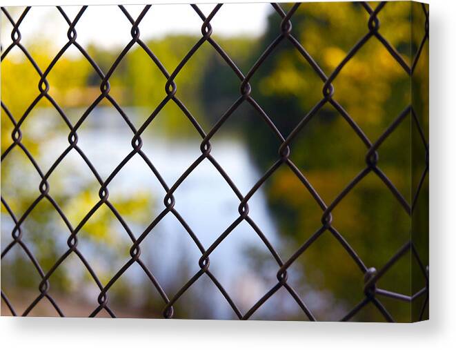 Chainlink Fence Canvas Print featuring the photograph Restricted Access by Michelle Joseph-Long