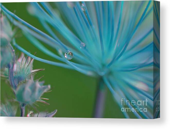 Michelle Meenawong Canvas Print featuring the photograph Rhapsody In Blue by Michelle Meenawong