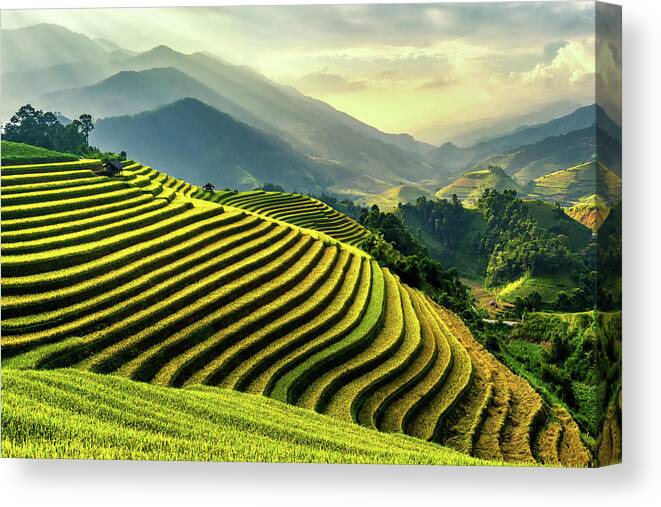 Scenics Canvas Print featuring the photograph Rice Terraces At Mu Cang Chai , Vietnam by Chan Srithaweeporn
