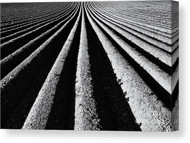 Ploughed Field Canvas Print featuring the photograph Ridge and Furrow by Tim Gainey