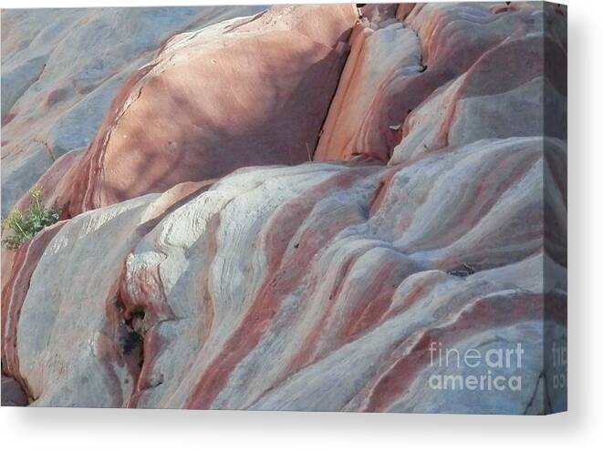 Mountains Canvas Print featuring the photograph Ripples by Barbara Leigh Art