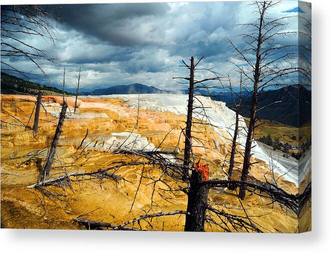 United States Canvas Print featuring the photograph Rising Heat by Richard Gehlbach