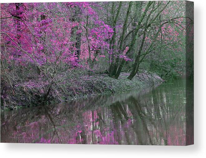 River Canvas Print featuring the photograph River of Pastel by Lorna Rose Marie Mills DBA Lorna Rogers Photography