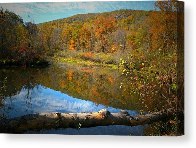 Landscape Canvas Print featuring the photograph River Runs Through It by Diana Angstadt