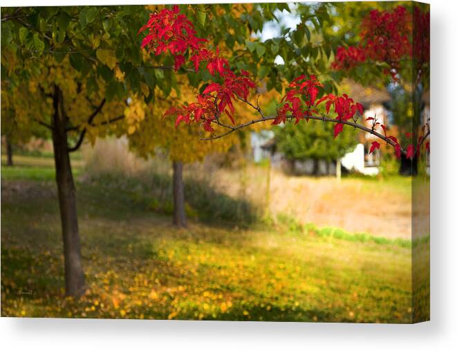 Autumn Canvas Print featuring the photograph Riverbend Orchard by Theresa Tahara