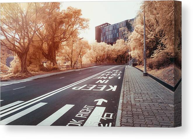Pole Canvas Print featuring the photograph Road And Road Sign by D3sign
