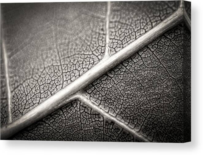B&w Canvas Print featuring the photograph Road Map Of A Restless Mind by Sandra Parlow