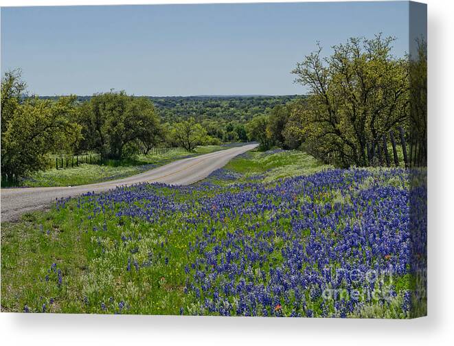 Landscape Canvas Print featuring the photograph Road to Castell by Cathy Alba
