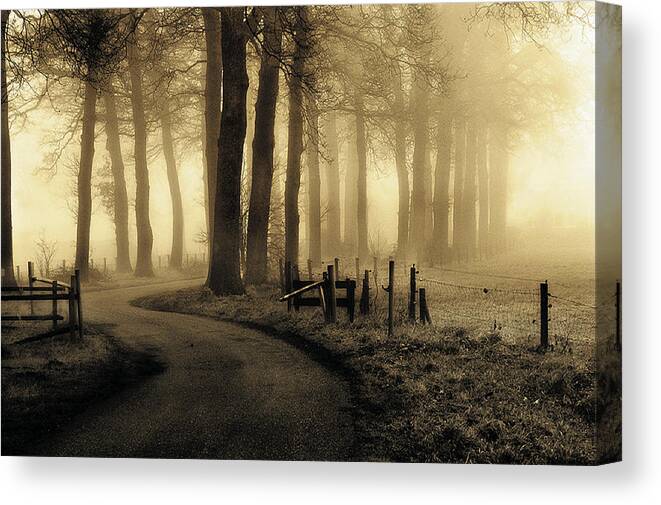 Road Canvas Print featuring the photograph Road To Nowhere... by Petra Oldeman