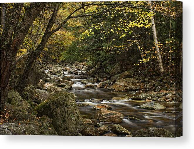 Roaring Branch Brook Canvas Print featuring the photograph Roaring Branch Brook by Priscilla Burgers