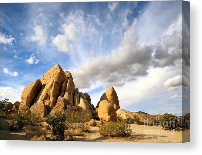Joshua Tree National Park Canvas Print featuring the photograph Rock Formations by Charline Xia