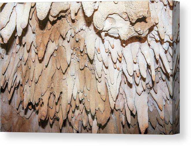 Rock Canvas Print featuring the photograph Rock Formations On A Cave Roof by Dr P. Marazzi
