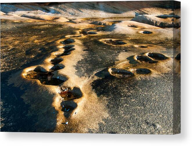 Rock Art Canvas Print featuring the photograph Rock Pool Art C by Peter Kneen