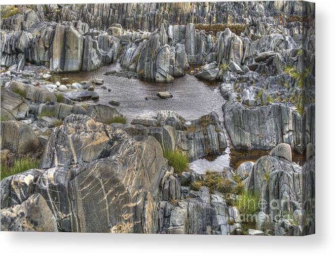 O Canvas Print featuring the photograph Rocky Arctic Shoreline by Heiko Koehrer-Wagner