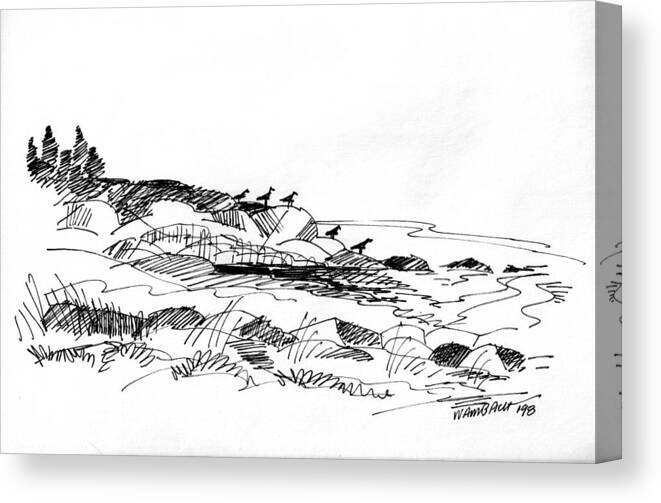 Monhegan Island Canvas Print featuring the drawing Rocky Beach Monhegan 1998 by Richard Wambach