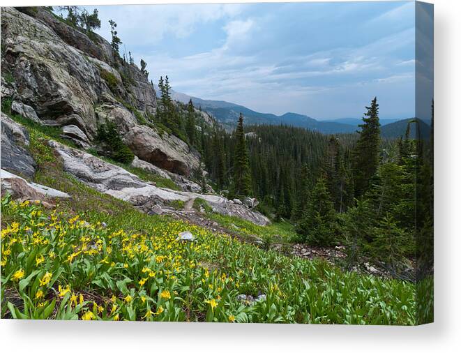 Photograph Canvas Print featuring the photograph Rocky Mountain Summer by Cascade Colors