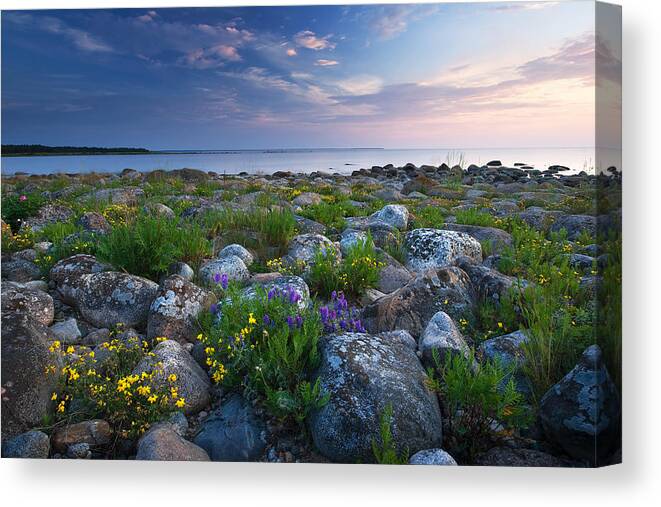Estonia Canvas Print featuring the photograph Rocky shores at the see by Anna Grigorjeva