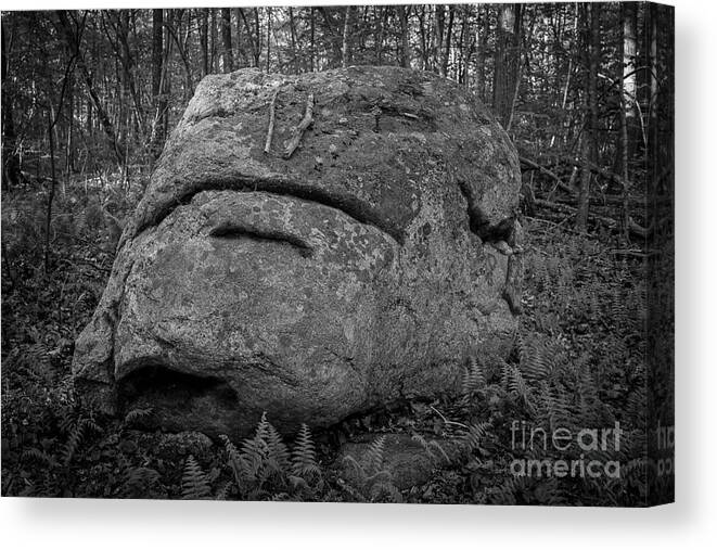 Westbrook Canvas Print featuring the photograph Rocky the Boulder Westbrook Connecticut by Edward Fielding