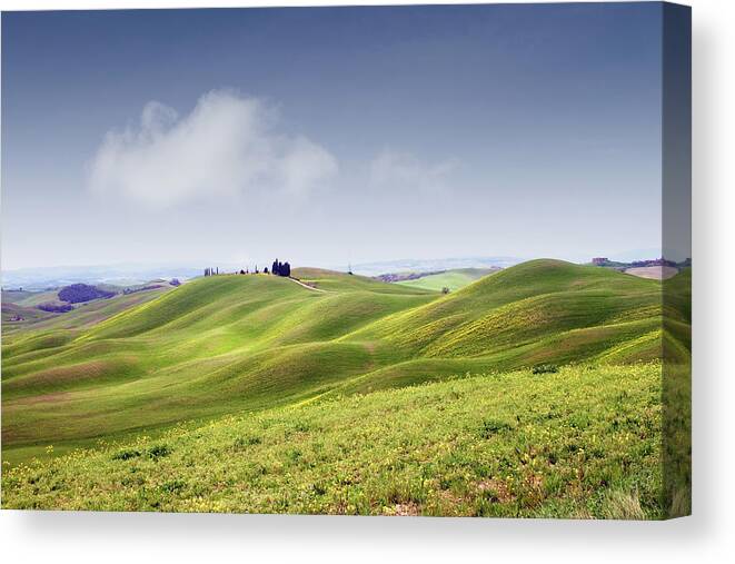 Scenics Canvas Print featuring the photograph Rolling Hills With Rapeseed by Christiana Stawski