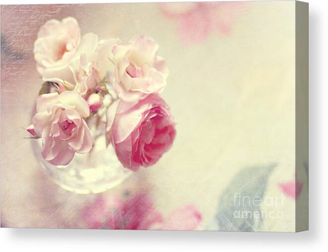 Rose Canvas Print featuring the photograph Roses by Sylvia Cook