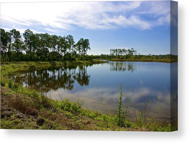 Florida Canvas Print featuring the photograph Rough Edges by Kathi Isserman