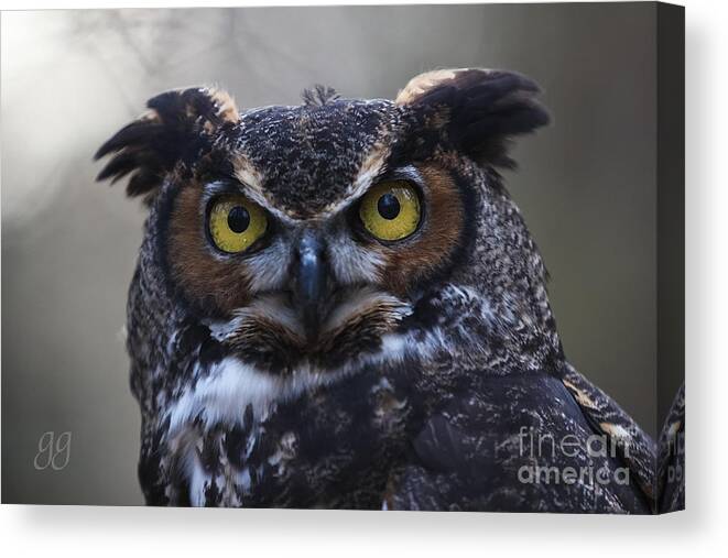 Owl Canvas Print featuring the photograph Ruler Of The Night by Geri Glavis